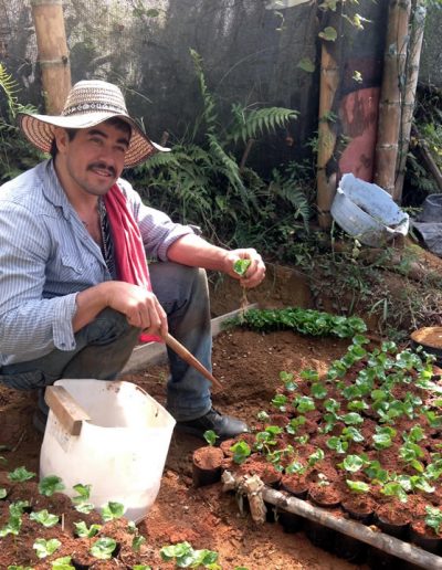 Colombian Coffee Small scale growers