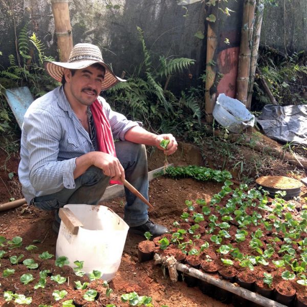 Colombian Coffee Small scale growers